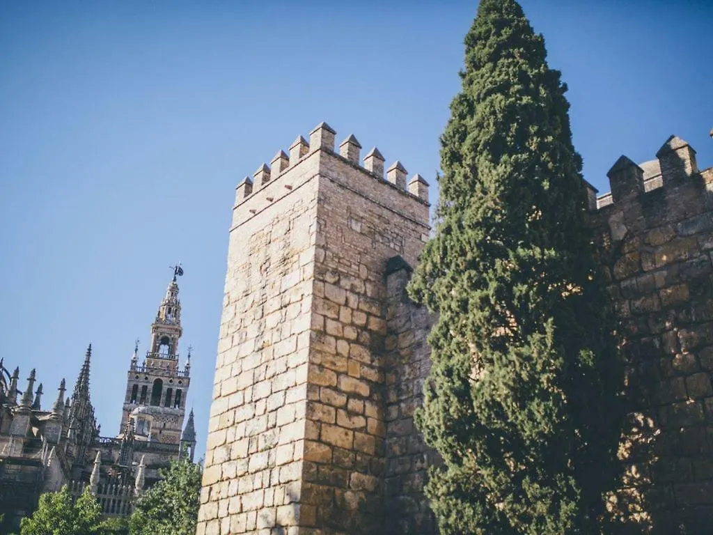 Lägenhet Loft Aire Sevilla Cathedral